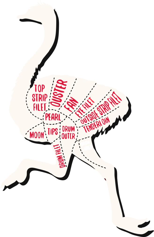 ostrich cuts
