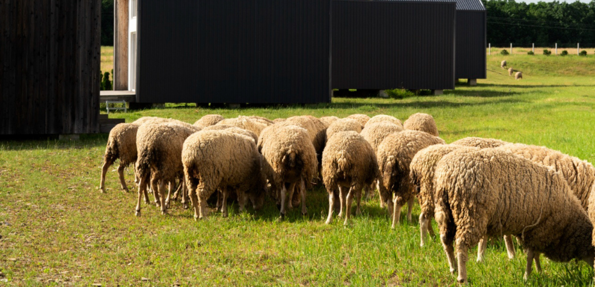 we build long term relationships based on trust and quality